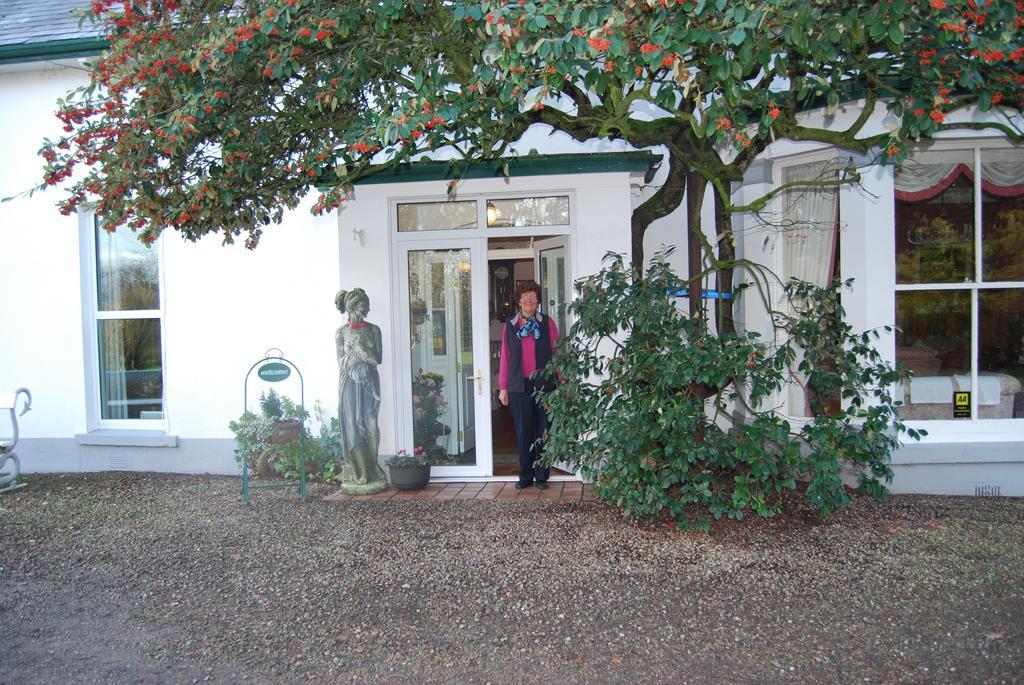 Grange Lodge Country House Dungannon Bagian luar foto